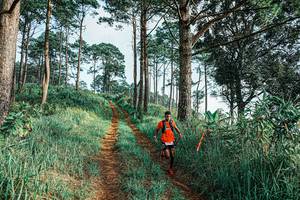 BIB: 
                            <button type="button" onclick="openModal(25652647)" class="btn btn-primary btn-sm float-right btn-popup" data-toggle="modal" data-target=".modal-high-quality">
                        <i class="fas fa-shopping-cart"></i> Add to Cart
                    </button>
                                            <button type="button" onclick="isThisMe(25652647, true)" class="btn btn-success btn-sm float-right btn-popup btn-isme hidden" data-toggle="tooltip" data-placement="bottom" title="นี่คือรูปของคุณใช่ไหม คลิกที่นี่เพื่อเอาเข้าอัลบั้ม">
                        <i class="fas fa-plus"></i> Add to album
                    </button>
                    <button type="button" onclick="isThisMe(25652647, false)" class="btn btn-warning btn-sm float-right btn-popup btn-isnotme hidden">
                        <i class="fas fa-ban"></i> Remove from album
                    </button>